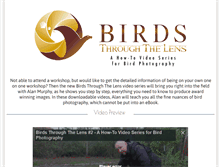Tablet Screenshot of birdsthroughthelens.com
